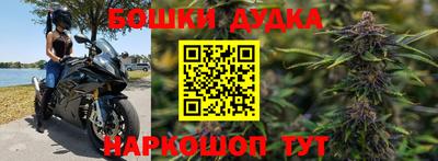 молекула духа Будённовск