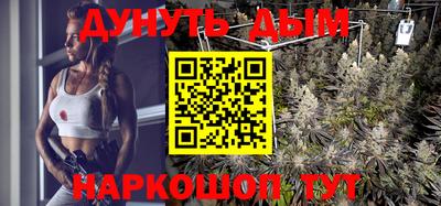 молекула духа Будённовск