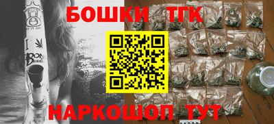 молекула духа Будённовск