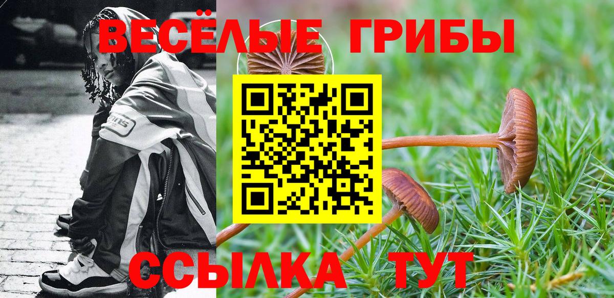 Сарапул  Псилоцибиновые грибы Magic Shrooms  Вход с VPN 